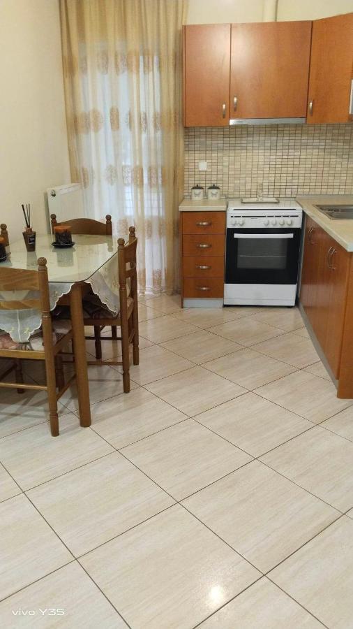 Apartamento Ομορφο Διαμερισμα Στο Κεντρο Της Πολης Με Παρκιν Tríkala Exterior foto